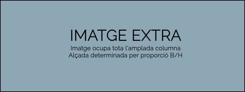 Imatge extra del producte