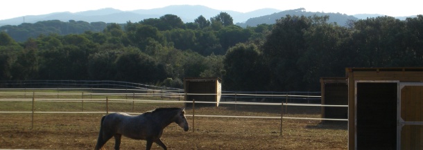Refugio de caballos