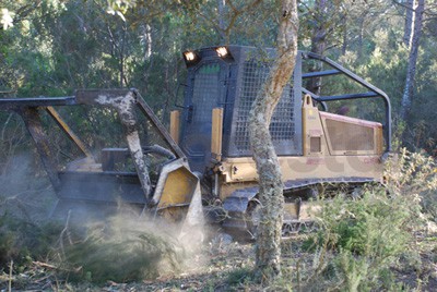 Tanquetas forestales