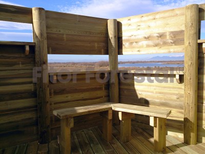 Listón pino del Norte machihembrado tratado y cepillado